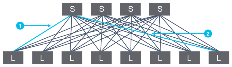 image info